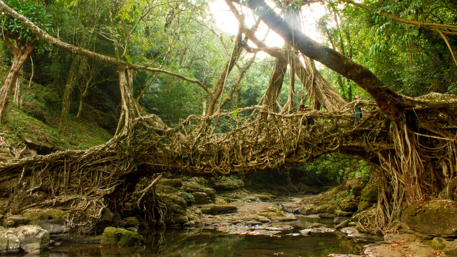 Fascinating Northeast Honeymoon package